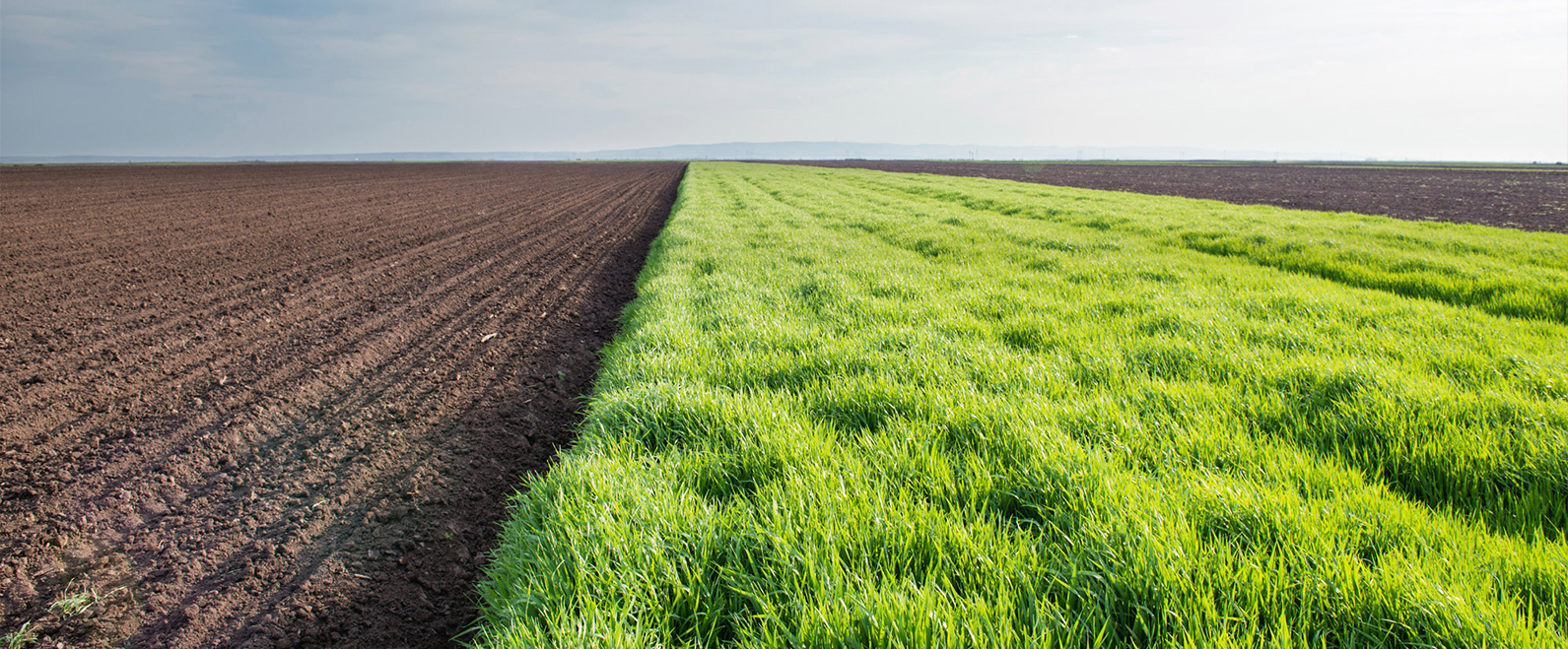 Grupa Azoty podpisała umowy na nowy sezon Agro